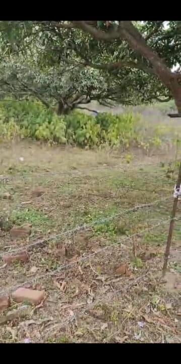 WhatsApp Image 2024-03-18 at 3.46.01 PM