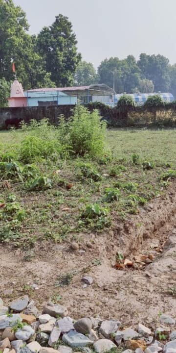 WhatsApp Image 2024-03-18 at 2.55.12 PM (1)