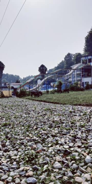 WhatsApp Image 2024-03-18 at 2.55.12 PM