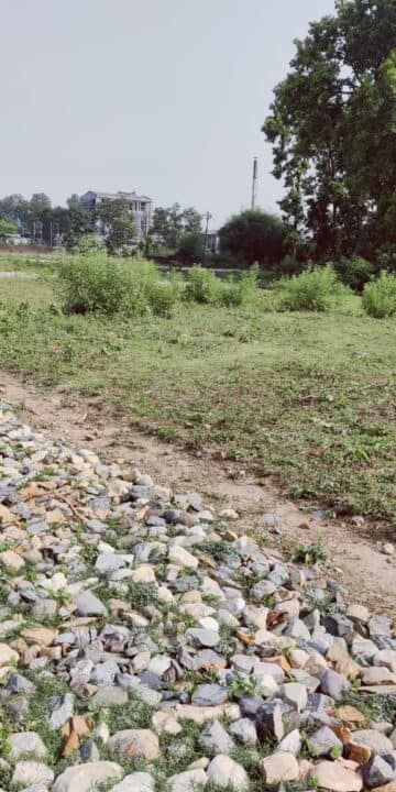 WhatsApp Image 2024-03-18 at 2.55.14 PM