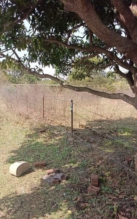 WhatsApp Image 2024-03-18 at 3.52.05 PM