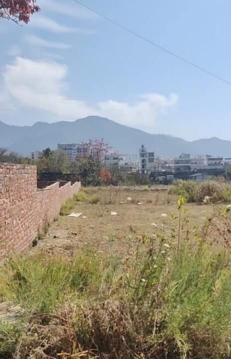 WhatsApp Image 2023-05-15 at 3.57.21 PM