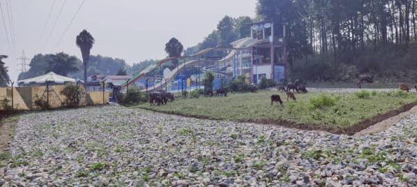 WhatsApp Image 2024-03-18 at 2.55.13 PM