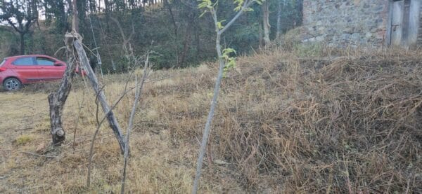 WhatsApp Image 2023-12-21 at 1.23.08 PM