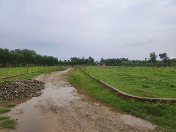 WhatsApp Image 2024-03-20 at 7.38.36 PM