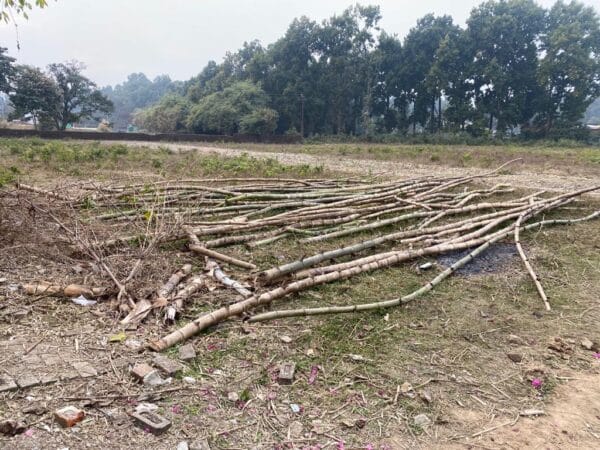 WhatsApp Image 2023-01-21 at 3.30.18 PM