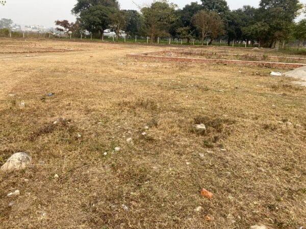 WhatsApp Image 2023-01-21 at 3.30.32 PM