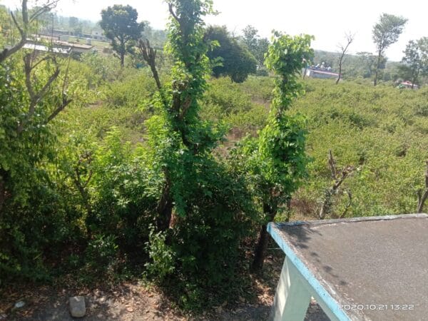 WhatsApp Image 2023-12-24 at 10.38.14_c28ef28f