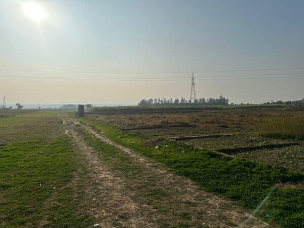 WhatsApp Image 2024-01-04 at 3.33.49 PM