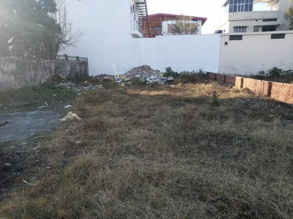 WhatsApp Image 2024-03-14 at 12.48.57 PM