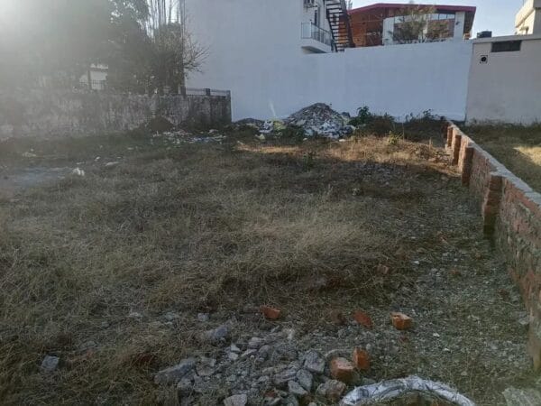 WhatsApp Image 2024-03-14 at 12.48.58 PM (1)