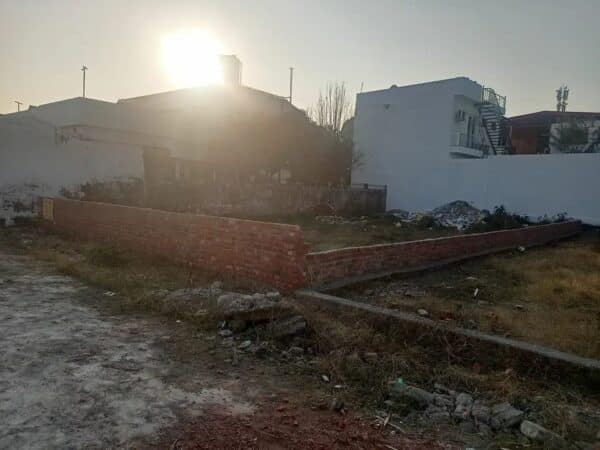 WhatsApp Image 2024-03-14 at 12.48.58 PM