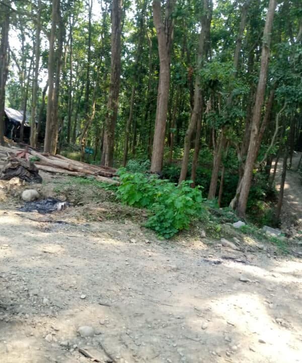 WhatsApp Image 2023-11-07 at 5.16.46 PM (1)