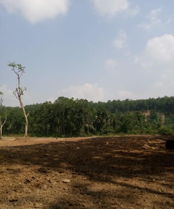 WhatsApp Image 2023-11-07 at 5.16.46 PM (2)