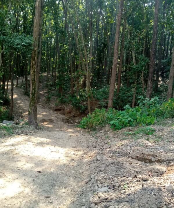 WhatsApp Image 2023-11-07 at 5.16.46 PM