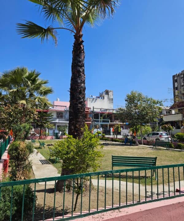 WhatsApp Image 2024-03-11 at 5.54.51 PM