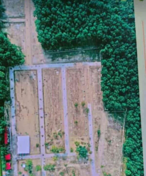 WhatsApp Image 2024-03-18 at 3.04.41 PM