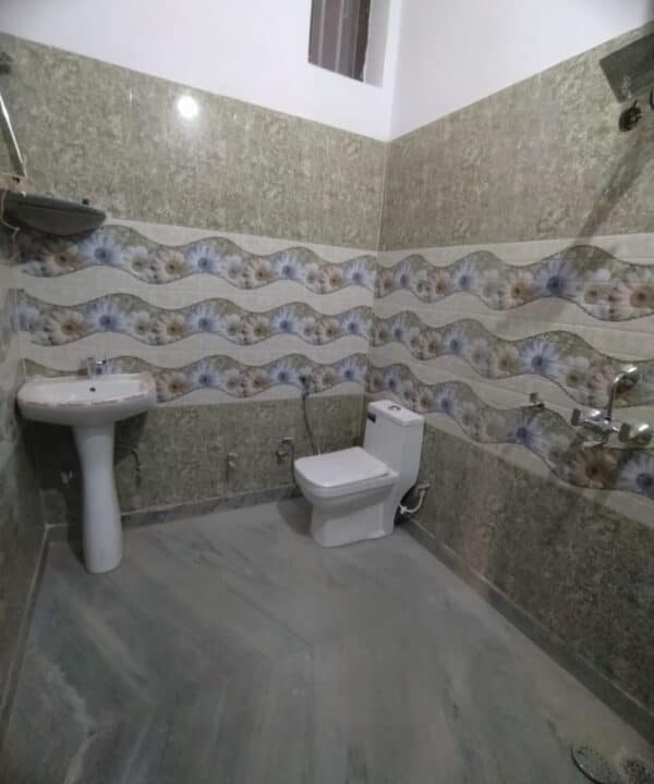 WhatsApp Image 2024-03-19 at 1.49.44 PM