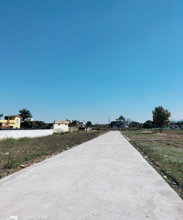 WhatsApp Image 2024-03-19 at 12.21.55 PM (1)