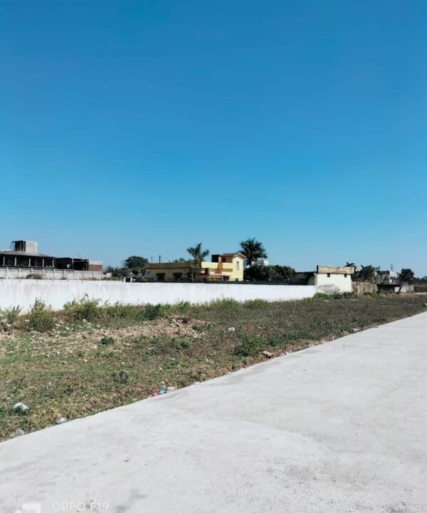 WhatsApp Image 2024-03-19 at 12.21.55 PM