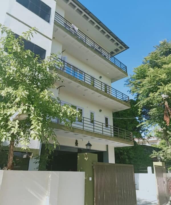 WhatsApp Image 2024-03-29 at 3.15.31 PM